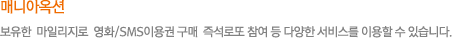 매니아옥션